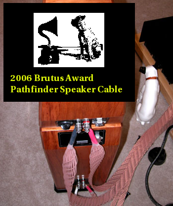 PathfiderBrutusaward.png