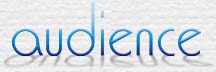 link to audience website