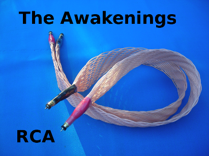 Awakenings RCA