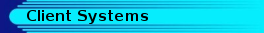 customer systems