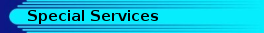 special services