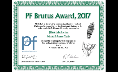 Model 3 brutus award