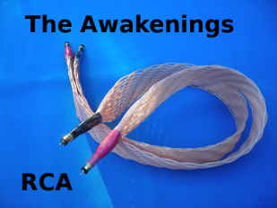 RCA Awakenings